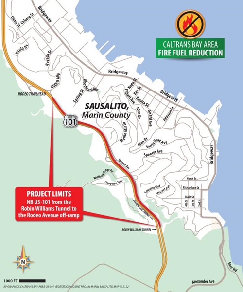 0203 Route: Schedules, Stops & Maps - Cerejeiras (Updated)