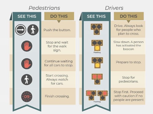 Guide for pedestrians and drivers on interacting with the pedestrian beacon. For pedestrians, they are told to push the button, wait for the walk sign and for all cars to stop, then start crossing while watching for cars. For drivers, when the button is pressed by a pedestrian, the signal flashes yellow, warning motorists to slow down. The signal will then become solid yellow, preparing motorists to stop. Next, the signal will turn solid red, halting traffic. During the final phase, the beacon will flash red, signaling motorists that they must stop to look for pedestrians. If none are visible, motorists may proceed. The flashing red phase resembles how motorists would proceed at a stop sign.