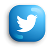 Twitter Social Media Button