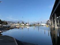 Marin 101 study area during 2025 King Tide.