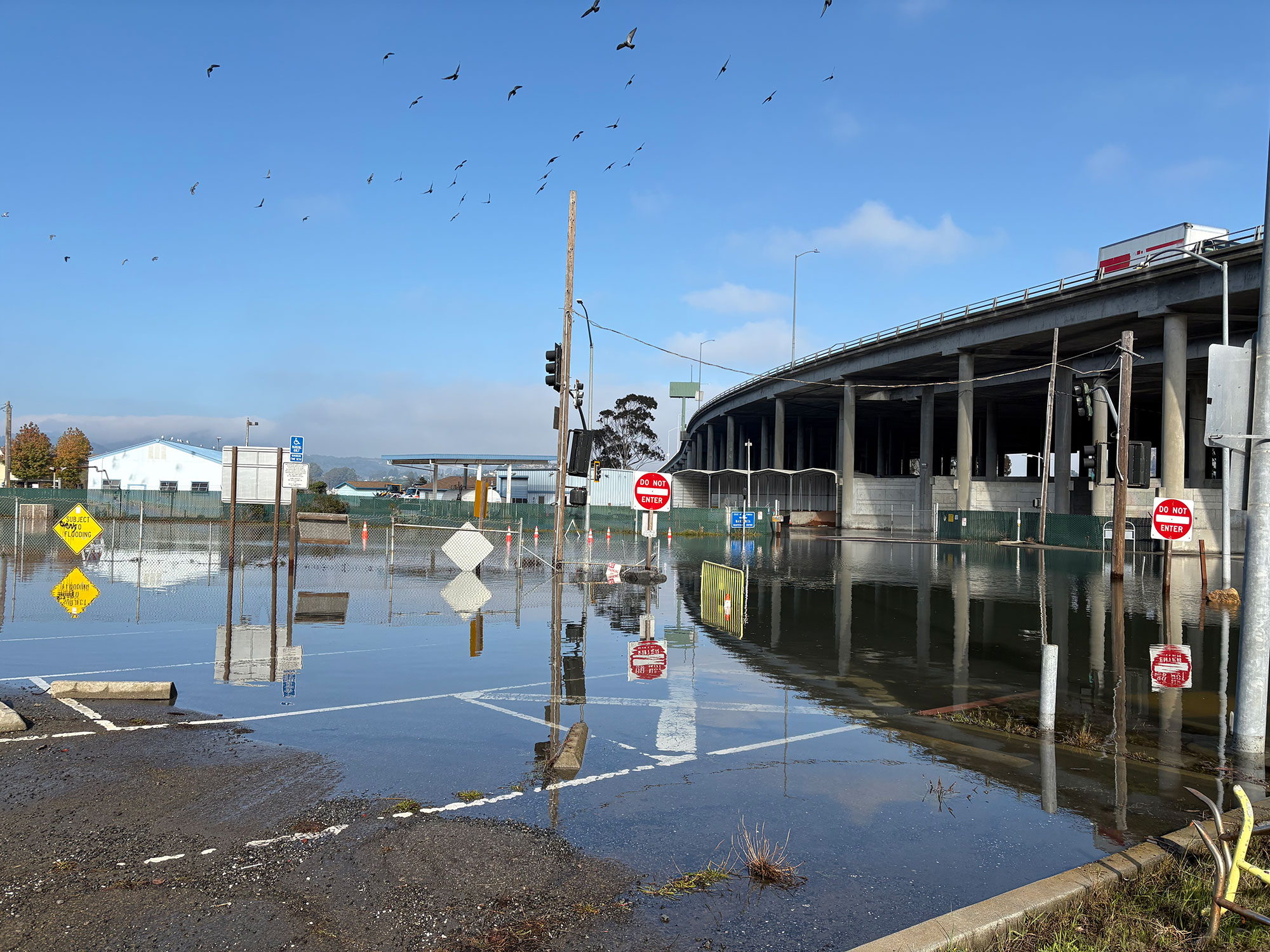 Marin 101 study area during 2025 King Tide.