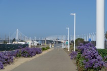 San Francisco–Oakland Bay Bridge Bay Trail South Approach.