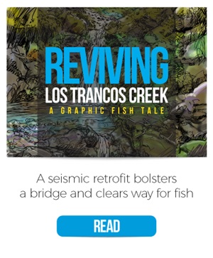 Fish Ladder graphic 0602