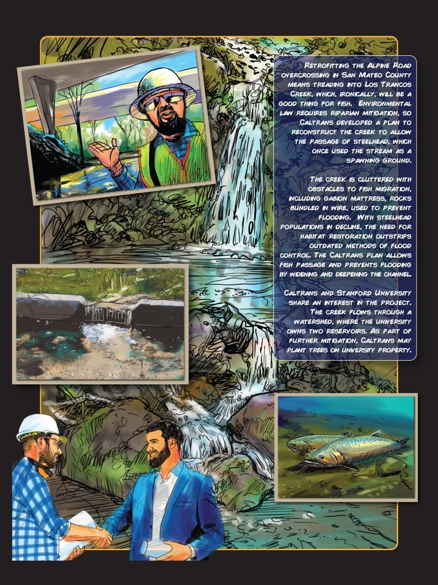 Fish Passage Comics Graphic