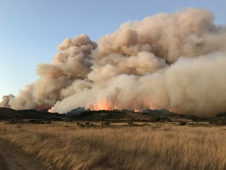 Photo of wildfire in grass field