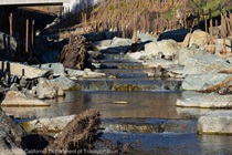 A series of pools formed by cobblestones in Huichica Creek look create a stair-like appearance in the creek.