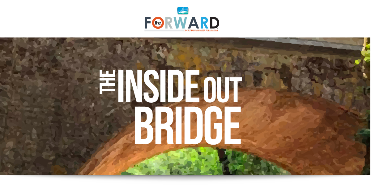 Header image for the Forward article titled "The Inside Out Bridge"