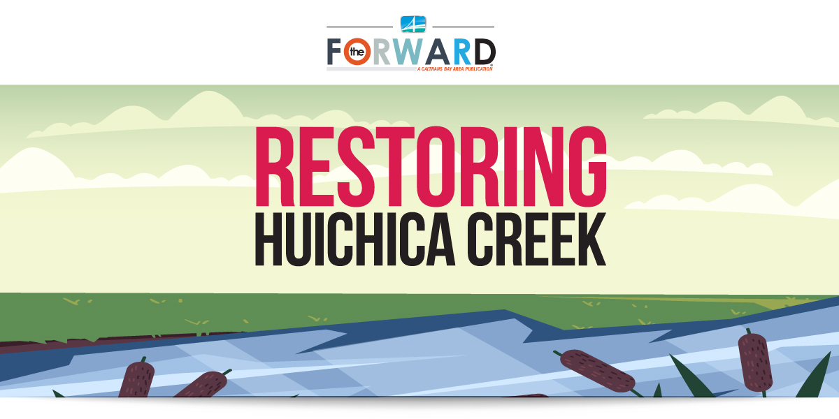 Header image for the Forward article titled "Restoring Huichica Creek"