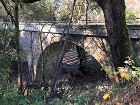 A stone bridge sits amongst trees.
