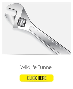 tool-wildlife-tunnel