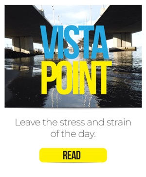 Vista Point graphic