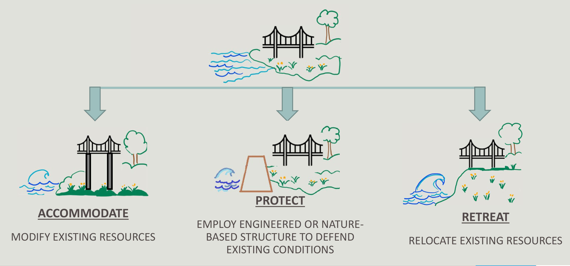 Graphic showing the Accommodate, Protect, and Retreat options. Graphic includes an icon of a bridge next to a shoreline. Underneath that graphic are arrows pointing to the three options. The leftmost arrow points to a version of the bridge icon in which the bridge now has taller legs. Beneath that graphic is the word 