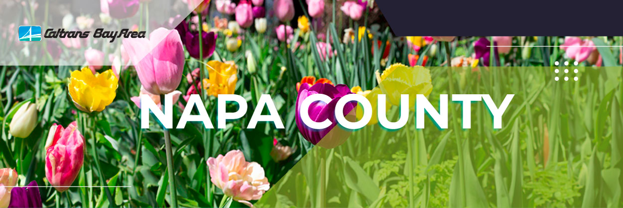 Banner image for the Napa County Newsletter