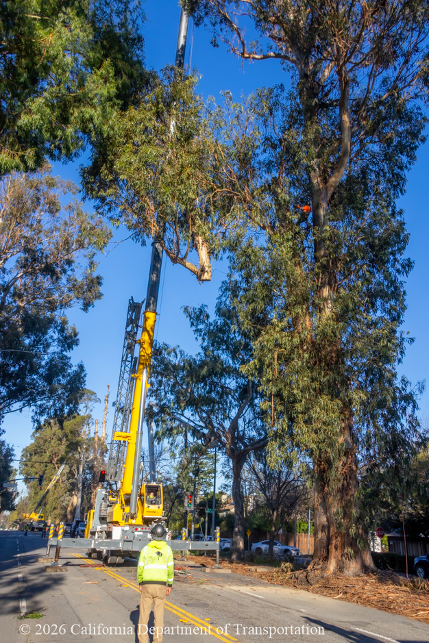 Tree removal equipment, including this large crane, necessitates full closures of El Camino Real.