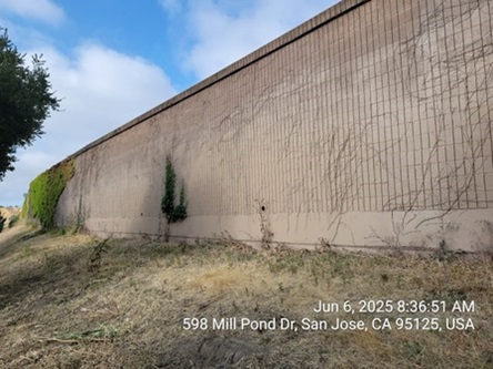 Photograph of a soundwall near Mill Pond Drive in San Jose after graffiti removal. The soundwall has been restored to its standard beige color.