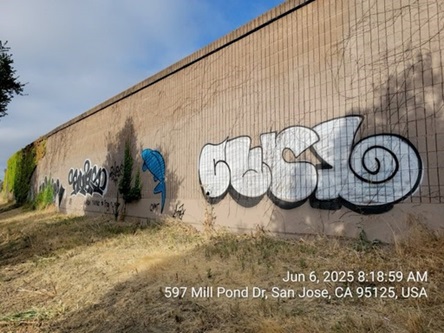 Photograph of a soundwall near Mill Pond Drive in San Jose before graffiti removal. There are several large works of graffiti on the soundwall.