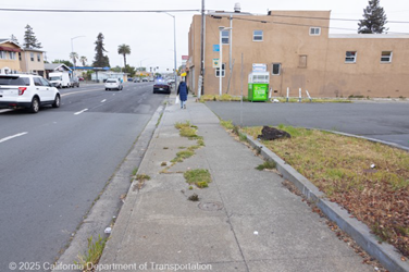 Photograph of an old cracked sidewalk in Vallejo. Vegetation grows out of the cracks in the middle of the sidewalk.