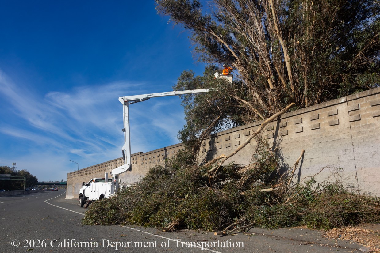 Caltrans Maintenance taking care of an over grown tree on State Route 37.