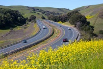 Photo of highway with foliage