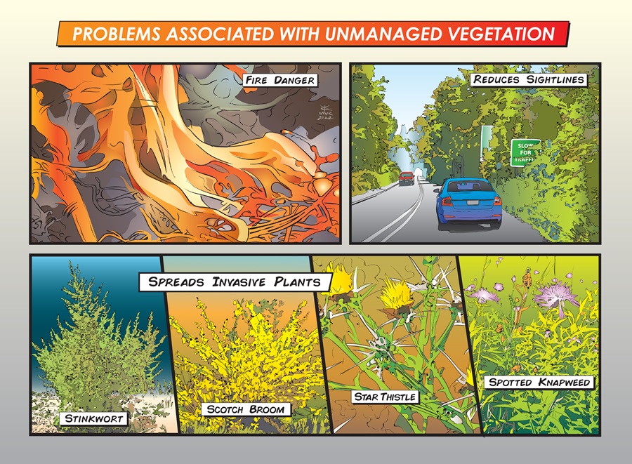 Problems Associated with Unmanaged Vegetation