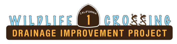 State Route 1 Wildlife Crossing and Improvement Project Logo