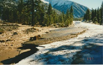 Walker River Flooding aftermath on U.S. 395 in Mono County on January 3, 1997.