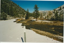 A photograph of the aftermath of the historic Walker River flooding in Mono County in 1997.
