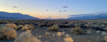 Sunrise in the Owens Valley near HWY 395.