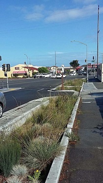 District 1: Low Impact Development (LID) Infrastructure along US-101 - Eureka, CA