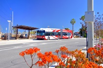 East Palomar Transit Station Improvements adjacent to I 805 - San Diego, CA