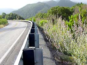 Example railing
