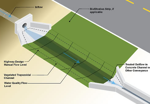 Bioswale  details