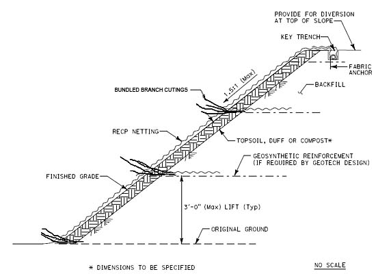 Brush layer with R E C P flap drawing detail