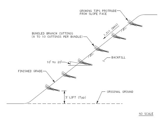 Brush layering outlet