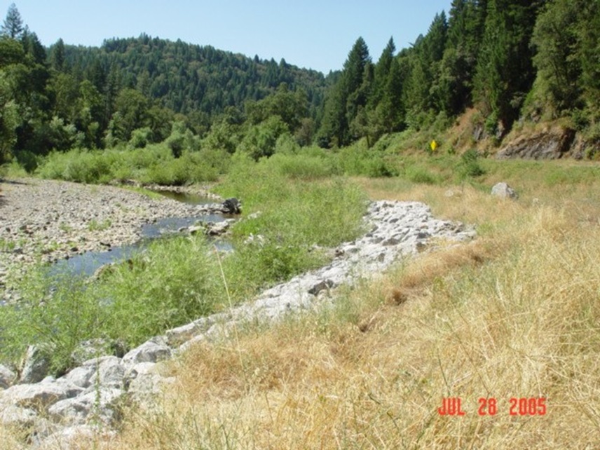 Figure 11- Cedar Creek (July 2005), Lower Limit of Medium Vegetation Density