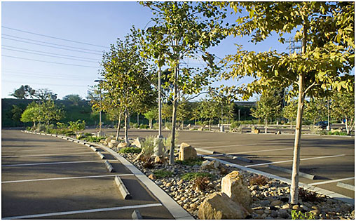 Parking lot stormwater planter