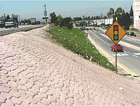 Roadside Management Toolbox: Patterned Concrete