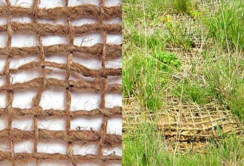 Erosion Control Toolbox: Rolled Erosion Control Product (Jute Mesh