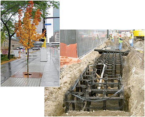 Sidewalk stormwater tree trench