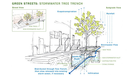 Tree trench schematic