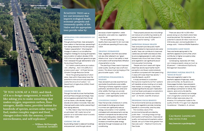 This brochure identifies trees as a low cost investment that improves ecological health, economic prosperity and community quality of life