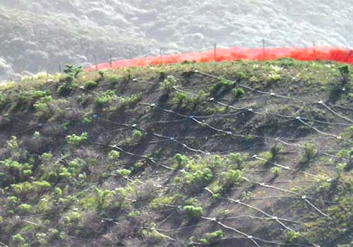 Erosion Control Toolbox: Stepped Slopes