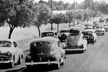 1940s era cars driving down a 2 lane highway lined with trees.