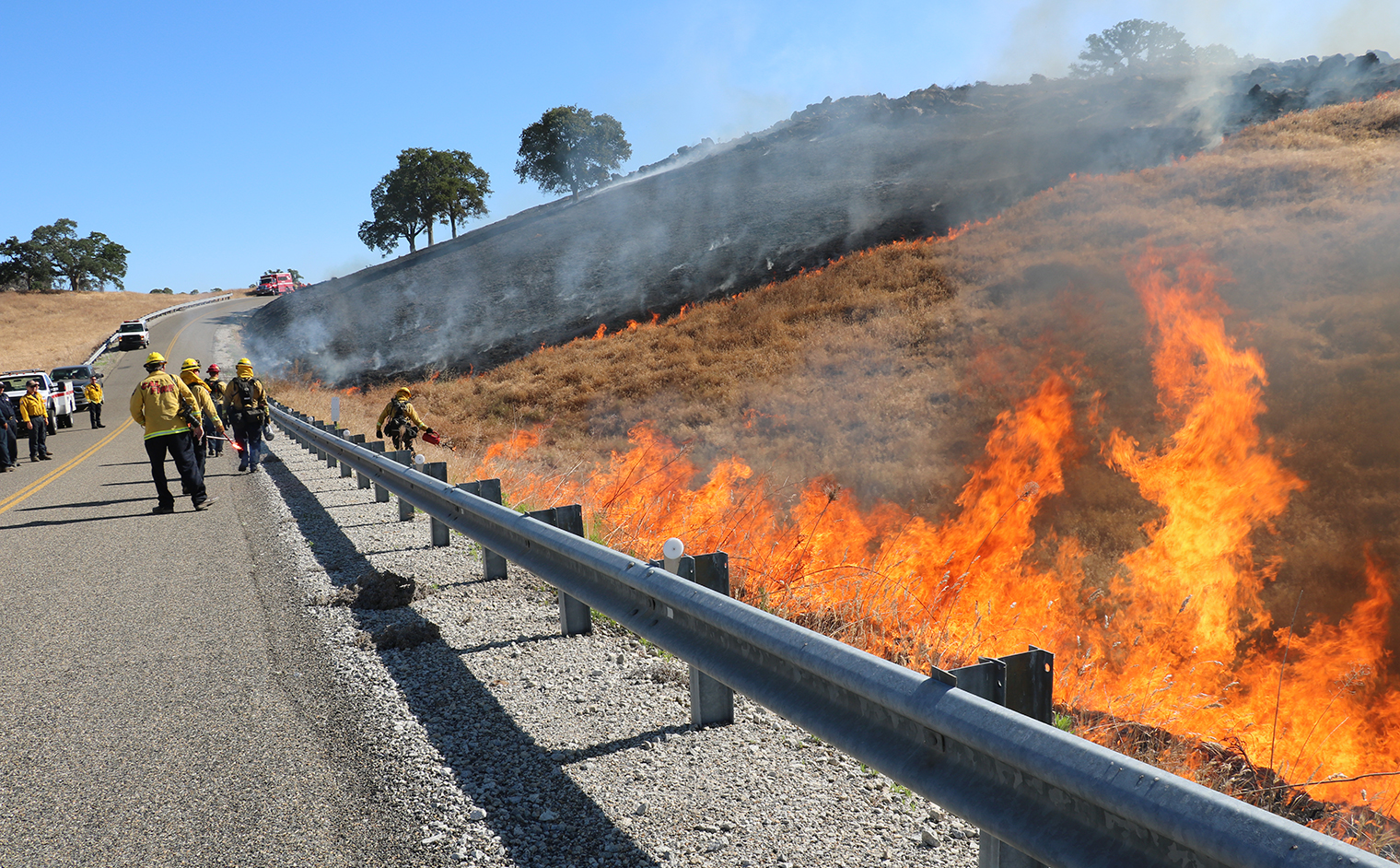 Photo of fire fighters burning grass next to guard rail along the road side.