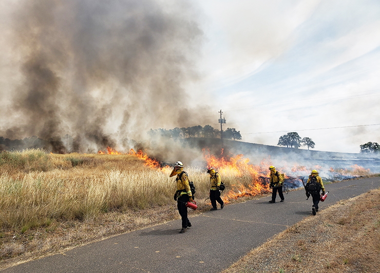 Photo of a controlled burn showing fire fighters walking along road with plume of smoke in the background.