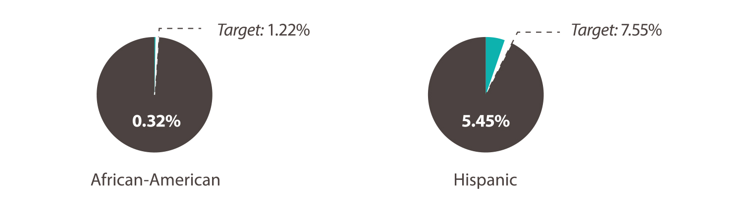 African-American: 0.32%, Target: 1.22%. Hispanic: 5.45%, Target 7.55%