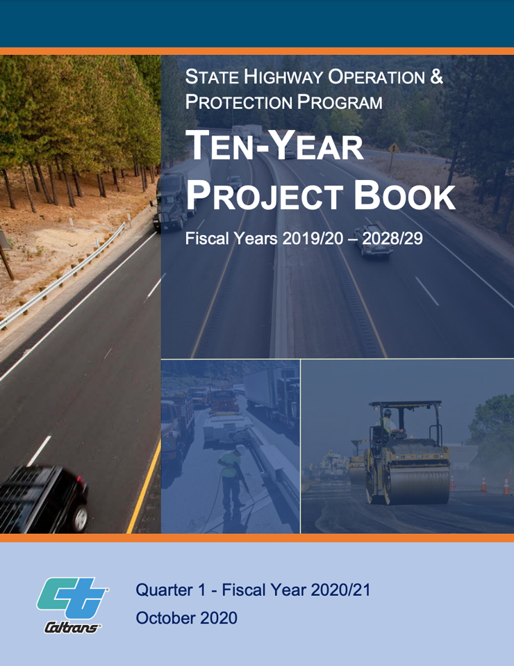 Cover image of the Ten-Year Project Book report