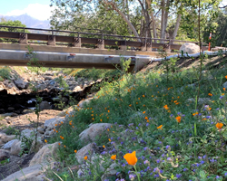 Photo thumbnail of Arroyo Paredon Bridge near Montecito