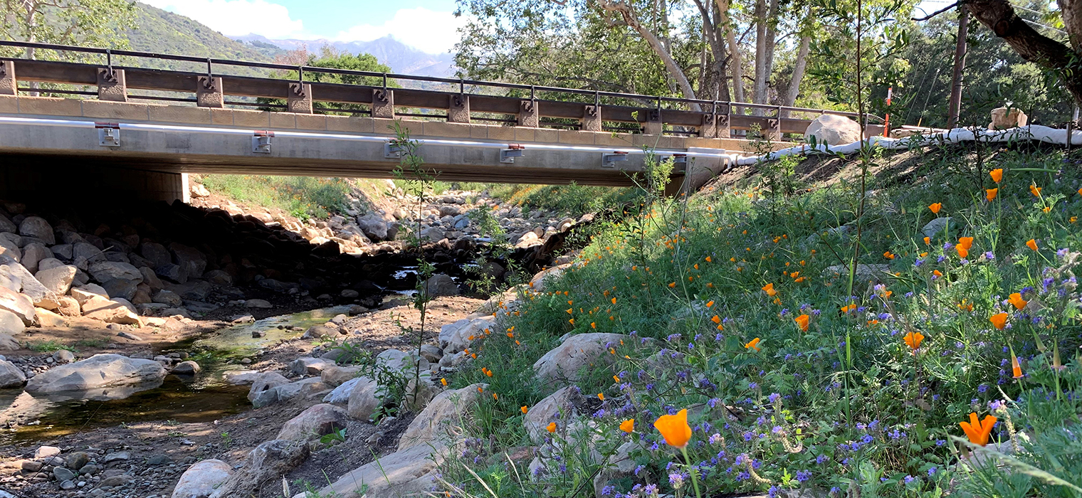 Photo of the newly rebuilt Arroyo Paredon bridge. Flowers in the foreground.