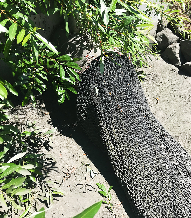 Photo of a culvert with a net attached to the end for the purpose of capturing trash.